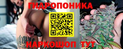 молекула духа Гусиноозёрск