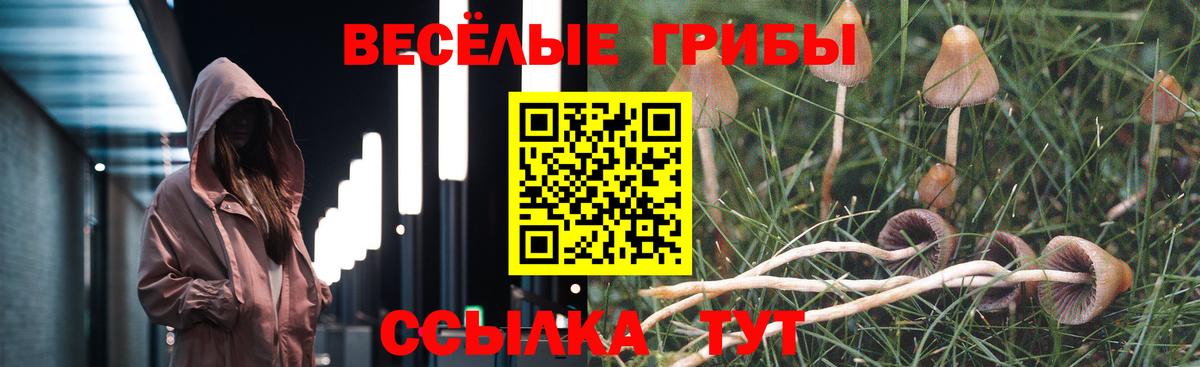 Орёл  Псилоцибиновые грибы Magic Shrooms  купить наркоту  Вход с VPN 